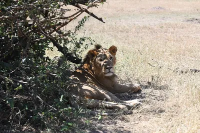 DSC_3561 (Large).JPG